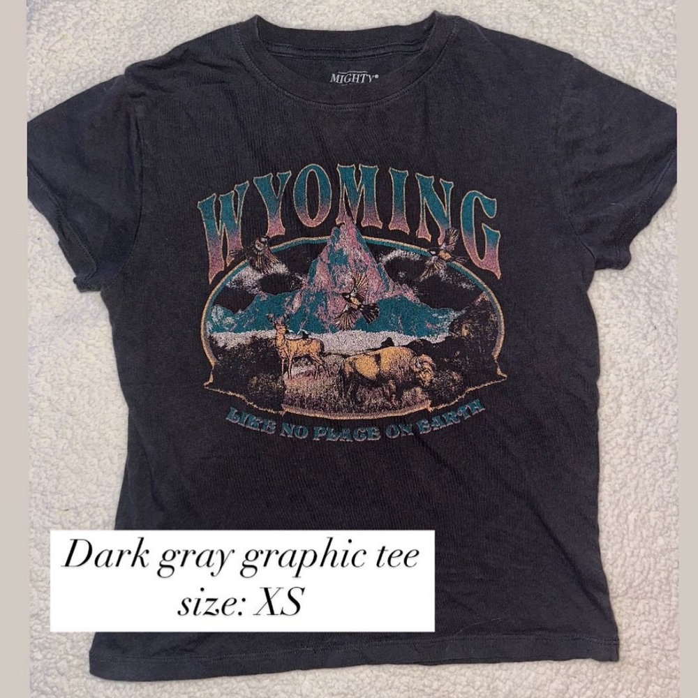 Mighty Fine Dark Gray Wyoming Graphic Tee XS